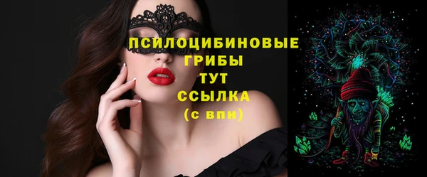 2c-b Абдулино