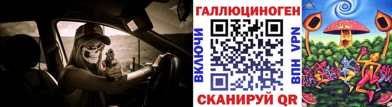 Псилоцибиновые грибы Psilocybe Заводоуковск