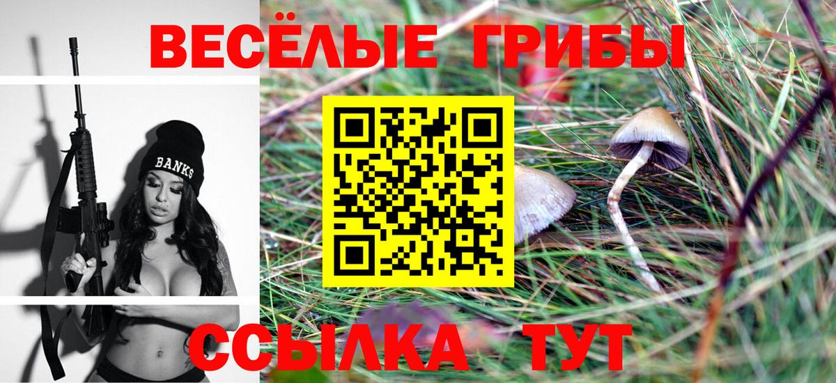 Псилоцибиновые грибы Magic Shrooms Заводоуковск