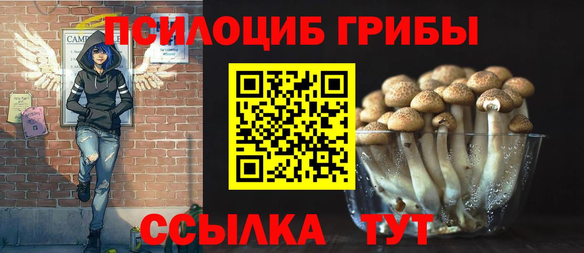 Галлюциногенные грибы Cubensis  Галлюциногенные грибы MAGIC MUSHROOMS  Вход с VPN  Заводоуковск 